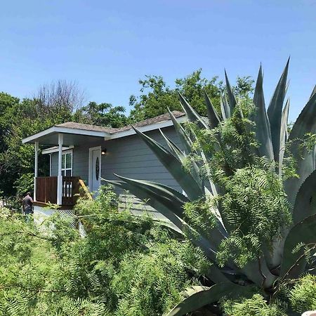 Downtown Contemporary Yet Cozy Fun Vila San Antonio Exterior foto
